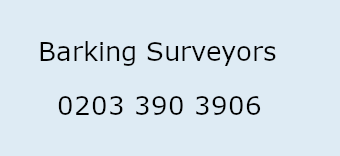 Barking Surveyors Logo